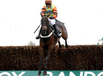 Henderson announces Might Bite retirement h