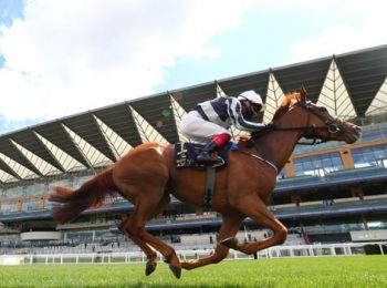 Alpine Star To Make Comeback In Pretty Polly Stakes h