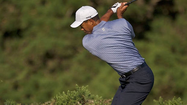 Tiger Woods Golf